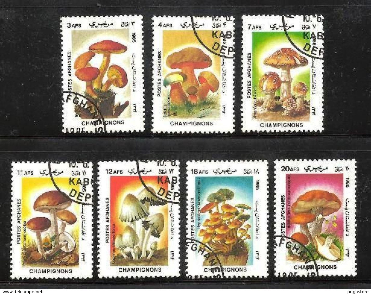 Afghanistan 1985 Champignons (30) Yvert N° 1276 à 1282 Oblitérés Used - Afganistán