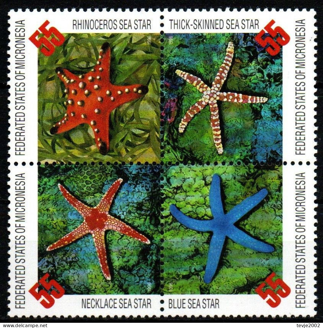 Mikronesien 1963 - Mi.Nr. 490 - 493 - Postfrisch MNH - Tiere Animals Seesterne Starfish - Maritiem Leven