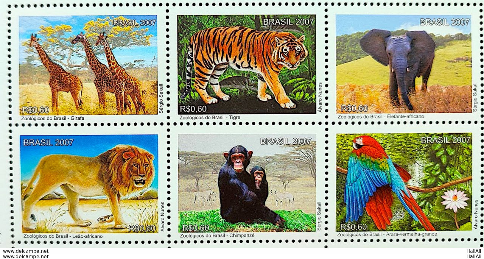 C 2712 Brazil Stamp Zoo Giraffe Elephant Lion Monkey Macaw Tiger Fauna Africa 2007 Sextille - Neufs