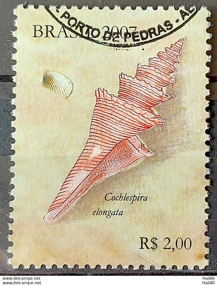 C 2691 Brazil Stamp Maritimes Shells 2007 Circulated 1 - Usati