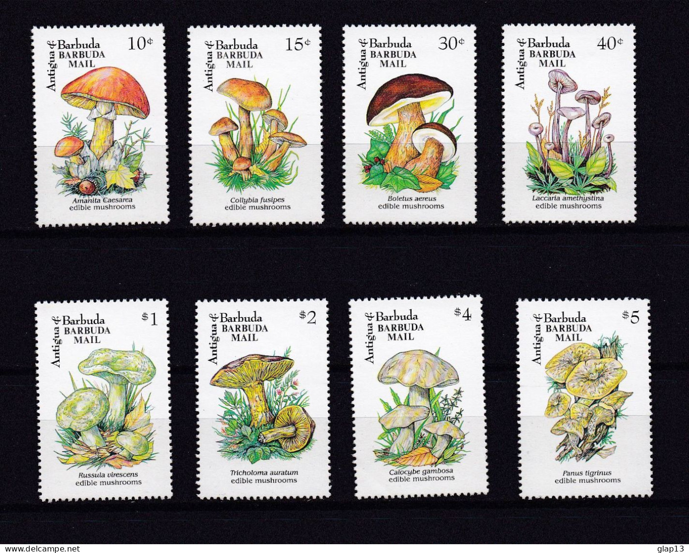 BARBUDA 1992 TIMBRE N°1258/65 NEUF** CHAMPIGNONS - Antigua And Barbuda (1981-...)