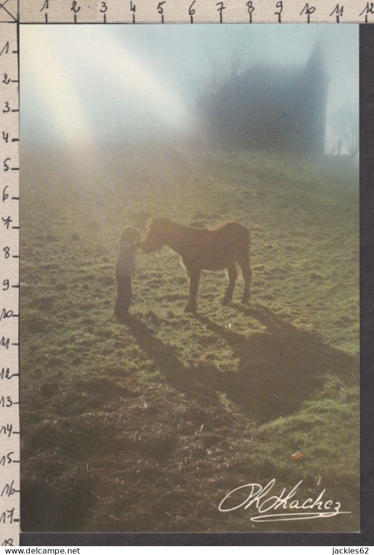 94306GF/ Photographe Ph. HACHEZ, Garçonnet Avec Un Poney - Colecciones, Lotes & Series