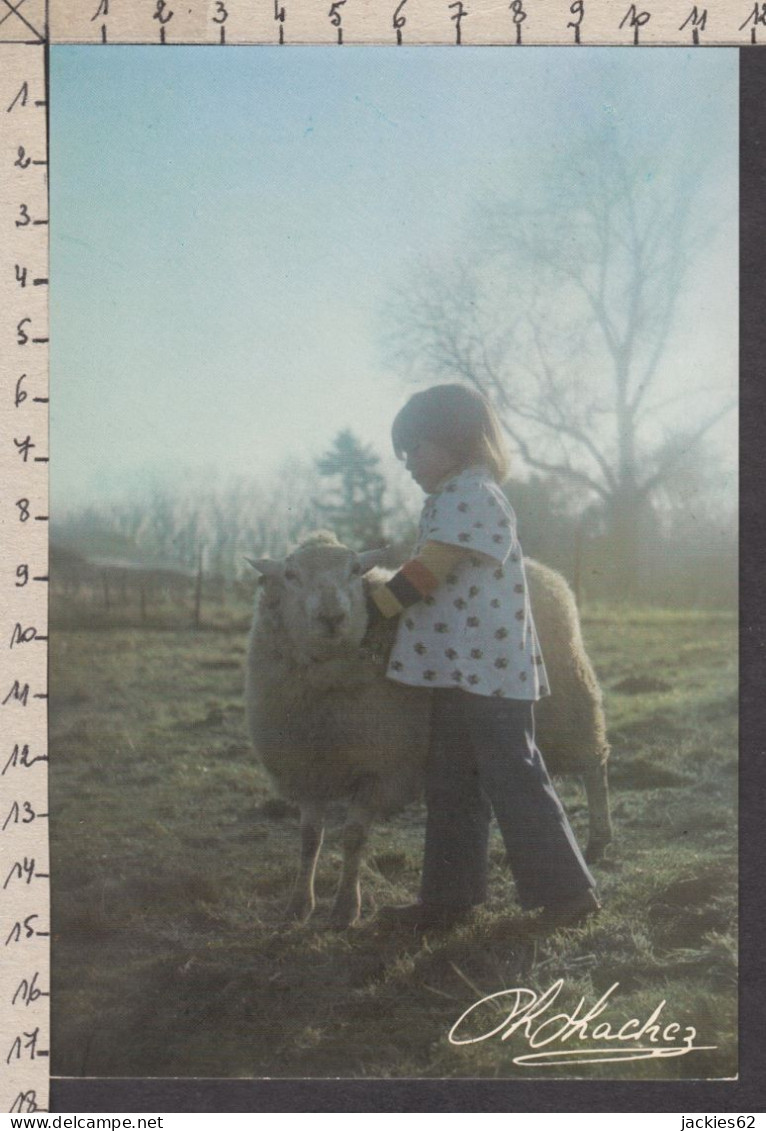 94300GF/ Photographe Ph. HACHEZ, Garçonnet Avec Un Mouton - Collections, Lots & Séries