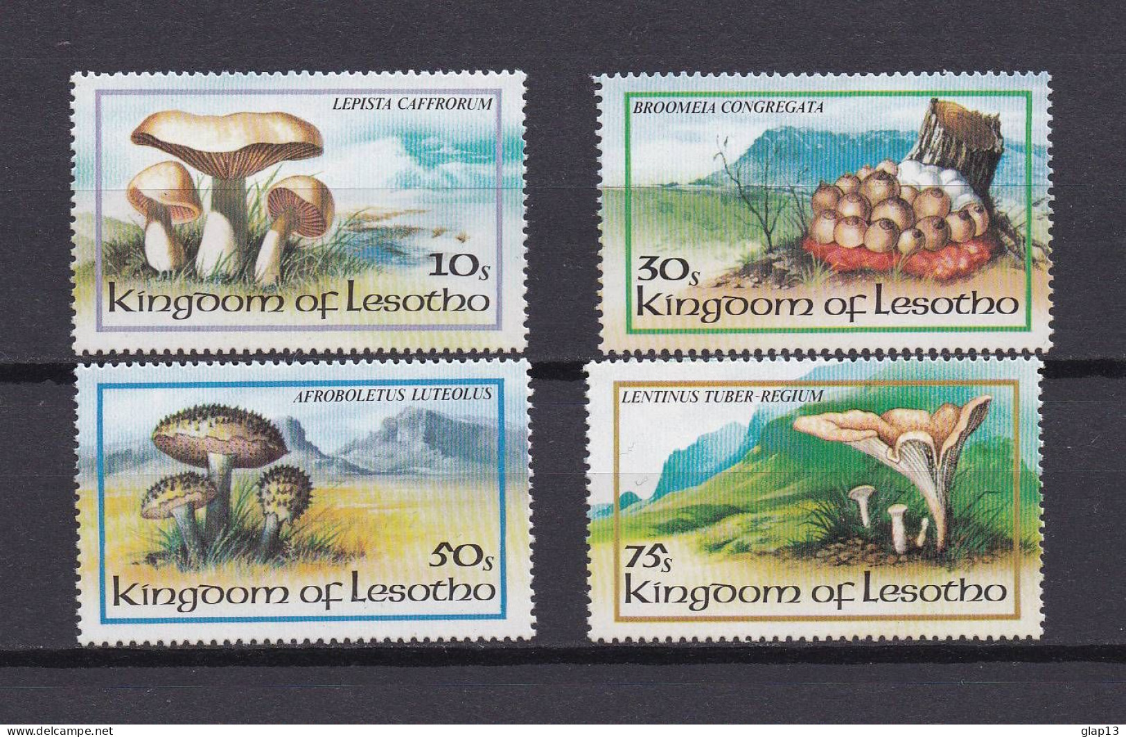 LESOTHO 1983 TIMBRE N°533/36 NEUF** CHAMPIGNONS - Lesotho (1966-...)