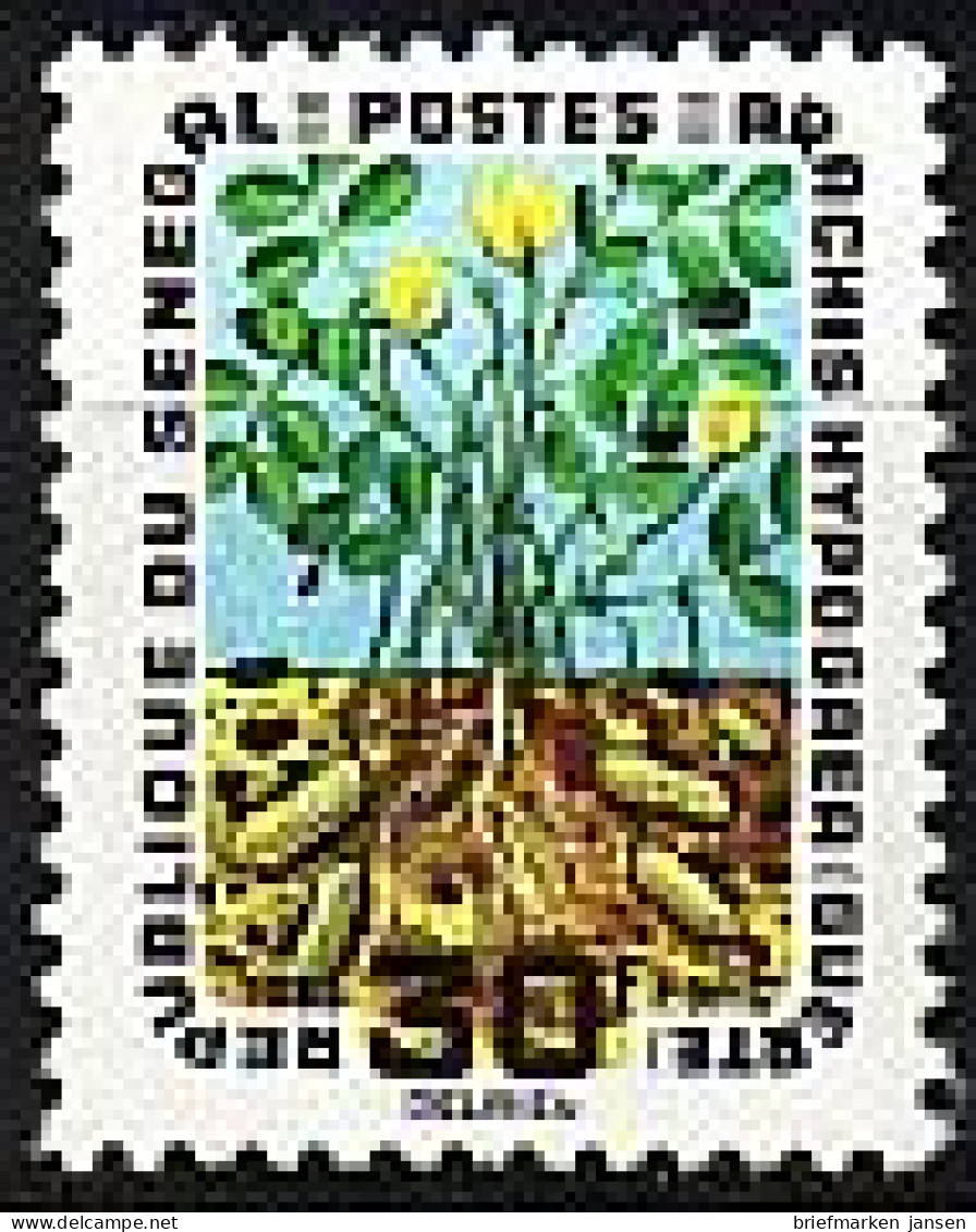Senegal Mi.Nr. 318 Erdnuss (30Fr) - Sénégal (1960-...)