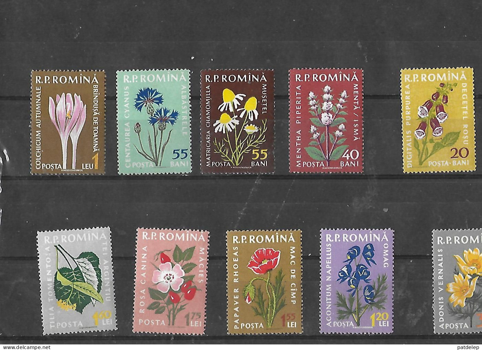 Roumanie Fleurs 1959 NSC - Autres & Non Classés