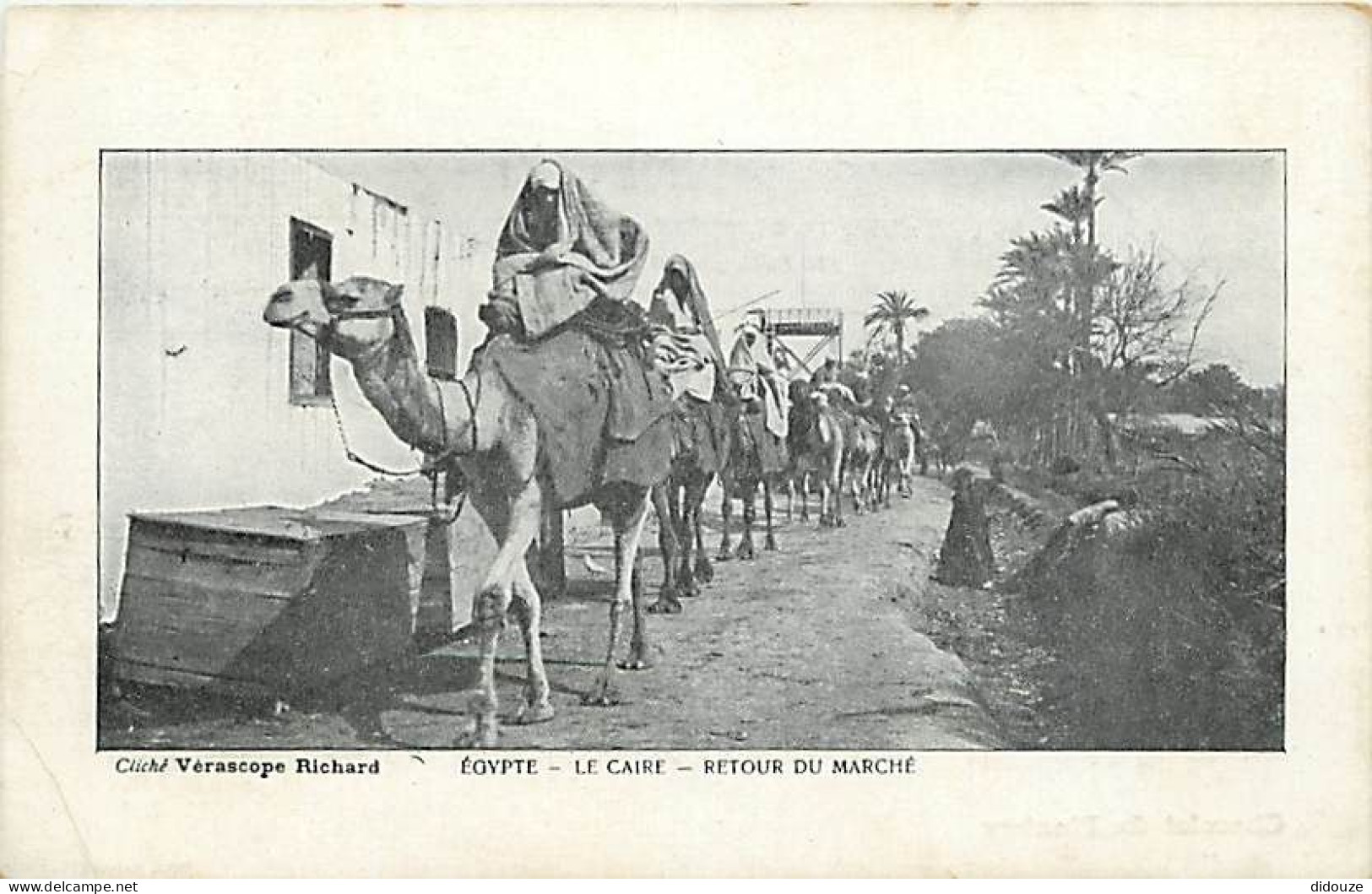 Egypte - Le Caire - Cairo - Retour Du Marché - Animée - Chameaux - Etat Léger Pli Visible - CPA - Voir Scans Recto-Verso - Le Caire