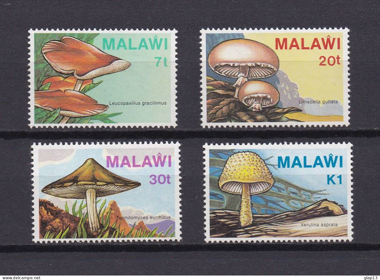 MALAWI 1985 TIMBRE N°445/48 NEUF** CHAMPIGNONS - Malawi (1964-...)