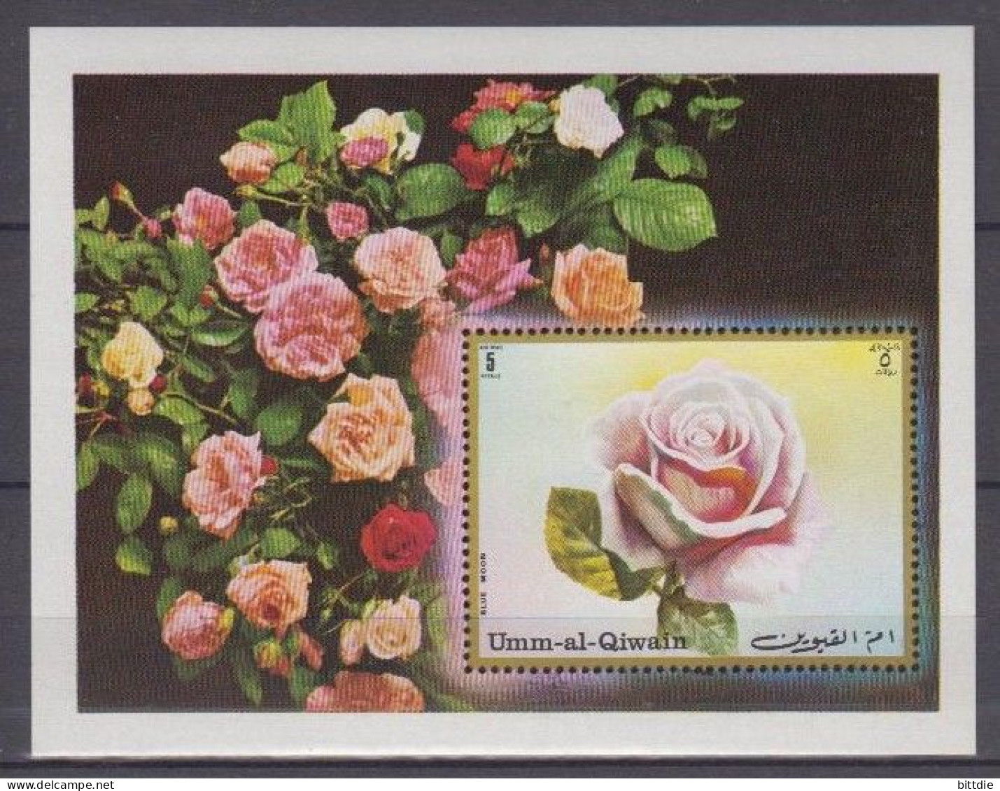 Rosen, Umm Al Kaiwain  Bl.56 , Xx  (A6.1585) - Roses
