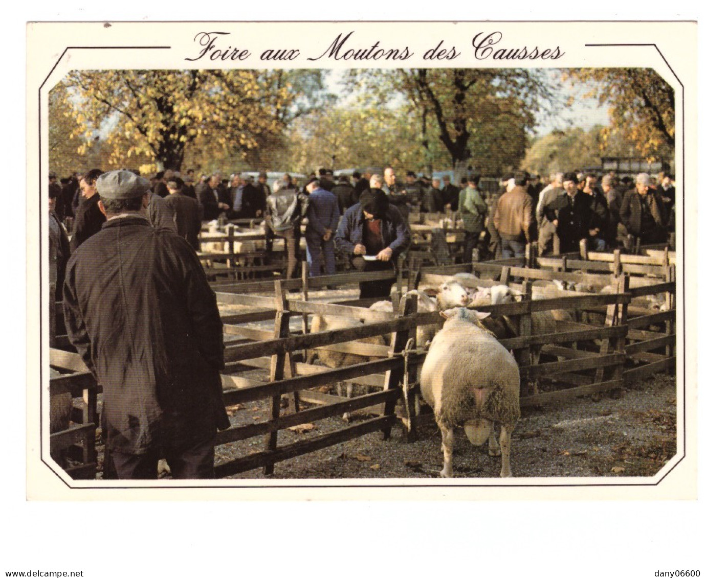 FOIRE AUX MOUTONS DES CAUSSES (carte Photo Animée) - Kirmes