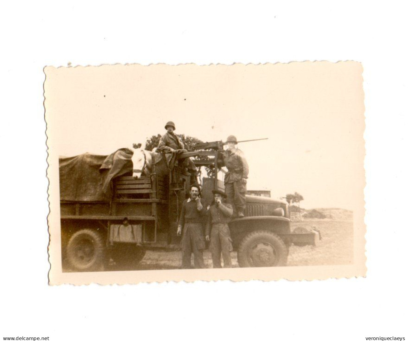 Photo Ancienne Militaires Mitrailleuse Mulet Dans Le Camion C1/5 - 1939-45