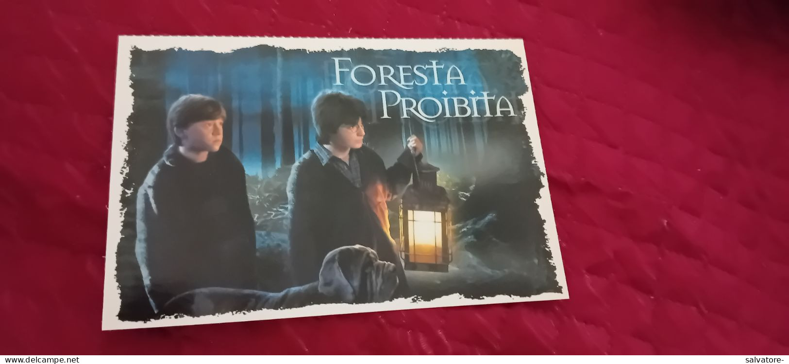 CARTOLINA HARRY POTTER - Séries TV