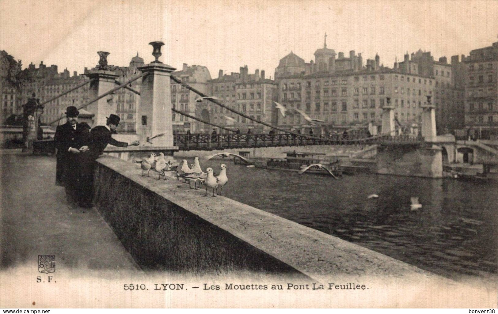 K2403 - LYON - D69 - Les Mouettes Au Pont La Feuillée - Lyon 5