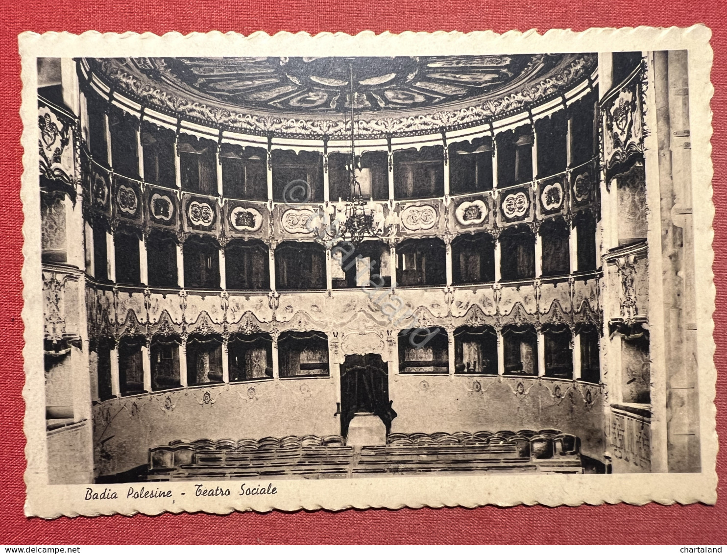 Cartolina - Badia Polesine ( Rovigo ) - Teatro Sociale - 1940 Ca. - Rovigo