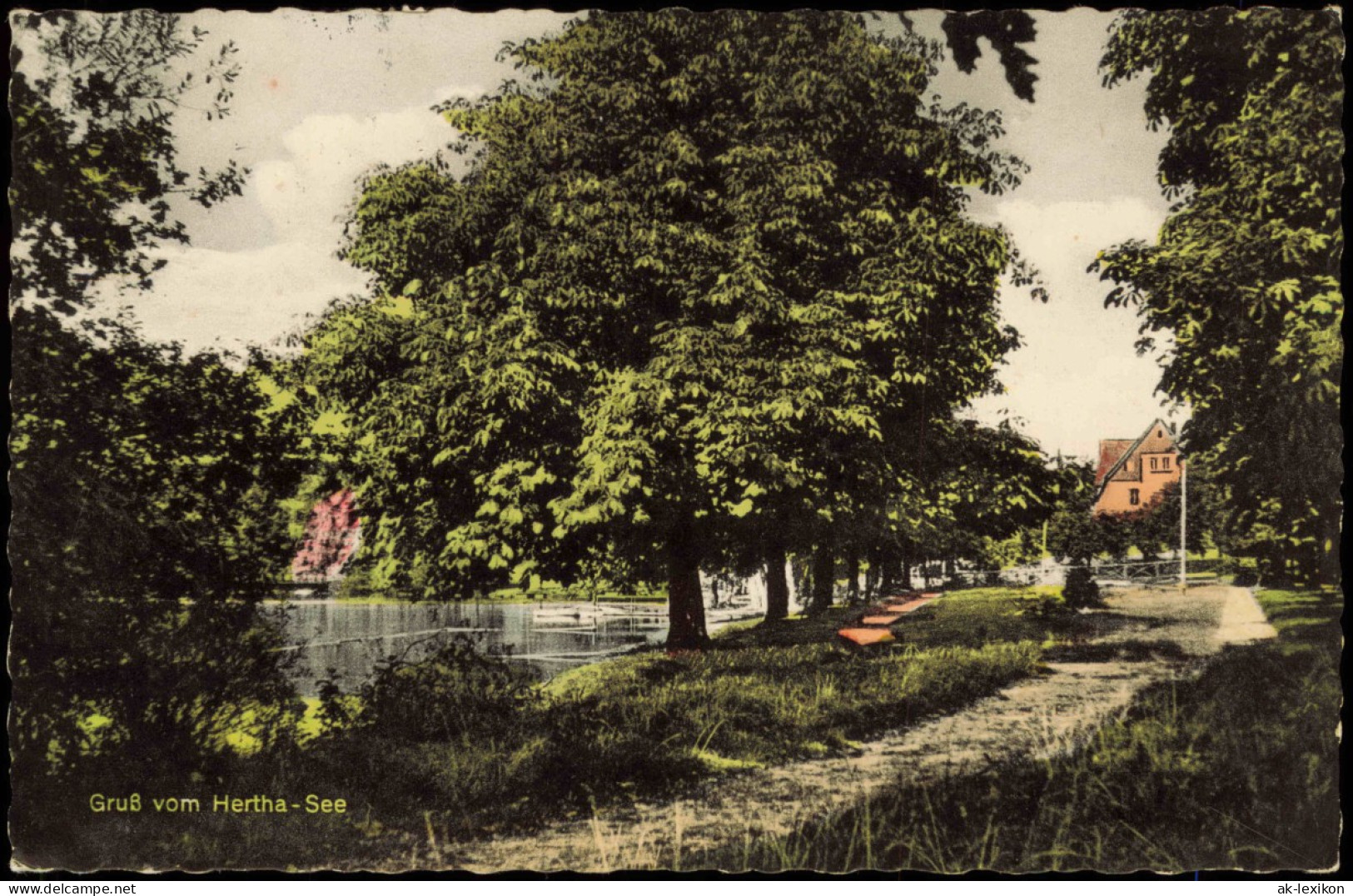 Ansichtskarte Holzappel-Diez (Lahn) Strandbad Herthasee 1964 - Diez