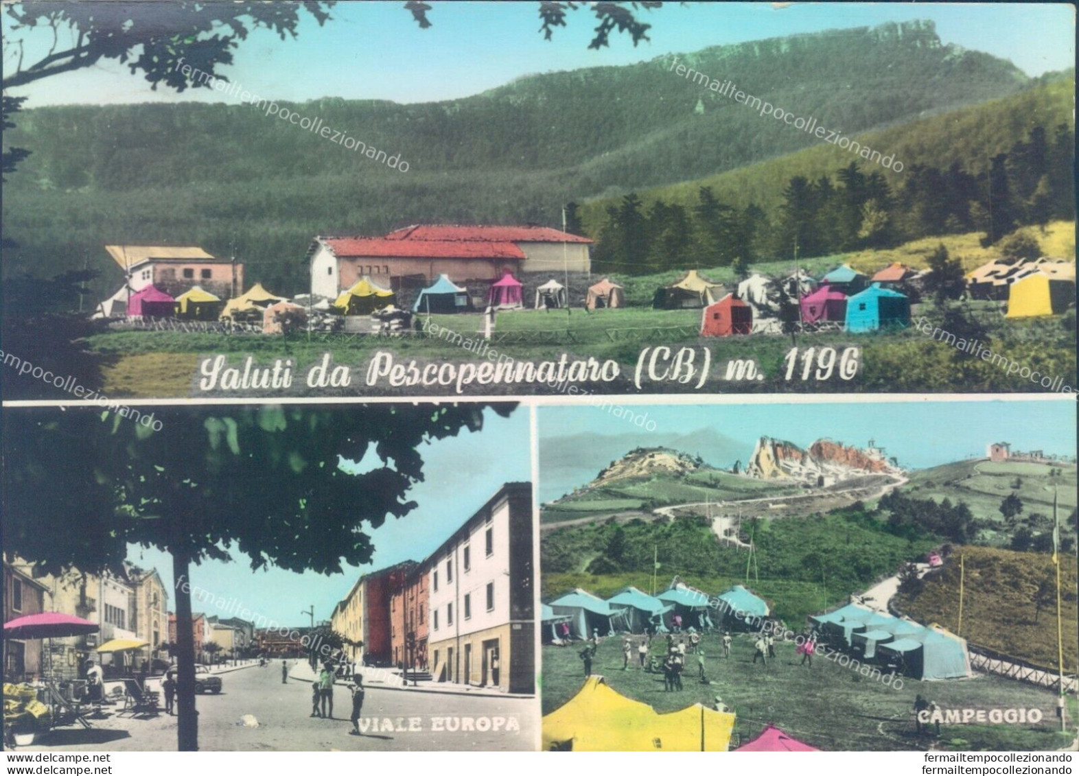 S19 Cartolina Saluti Da Pescopennataro Provincia Di Campobasso - Campobasso