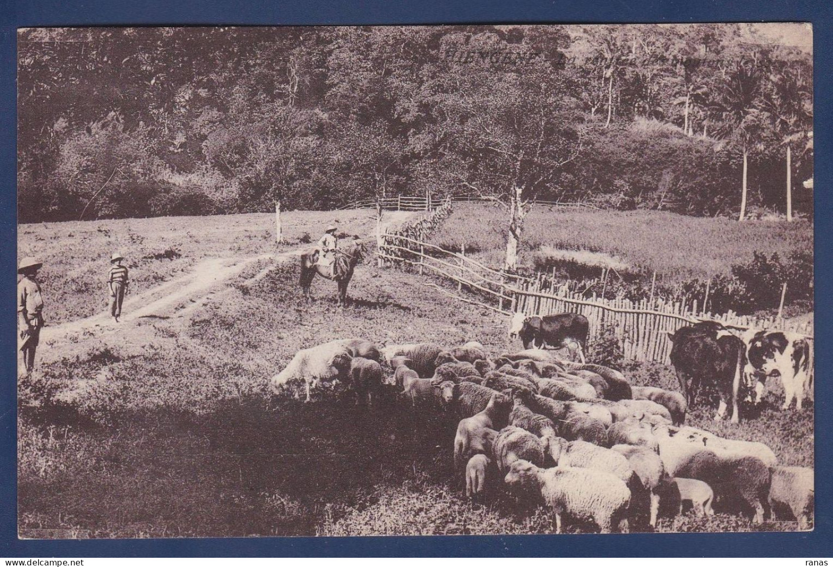 CPA Nouvelle Calédonie New Calédonia Océanie Non Circulé Hiengène - Nouvelle-Calédonie