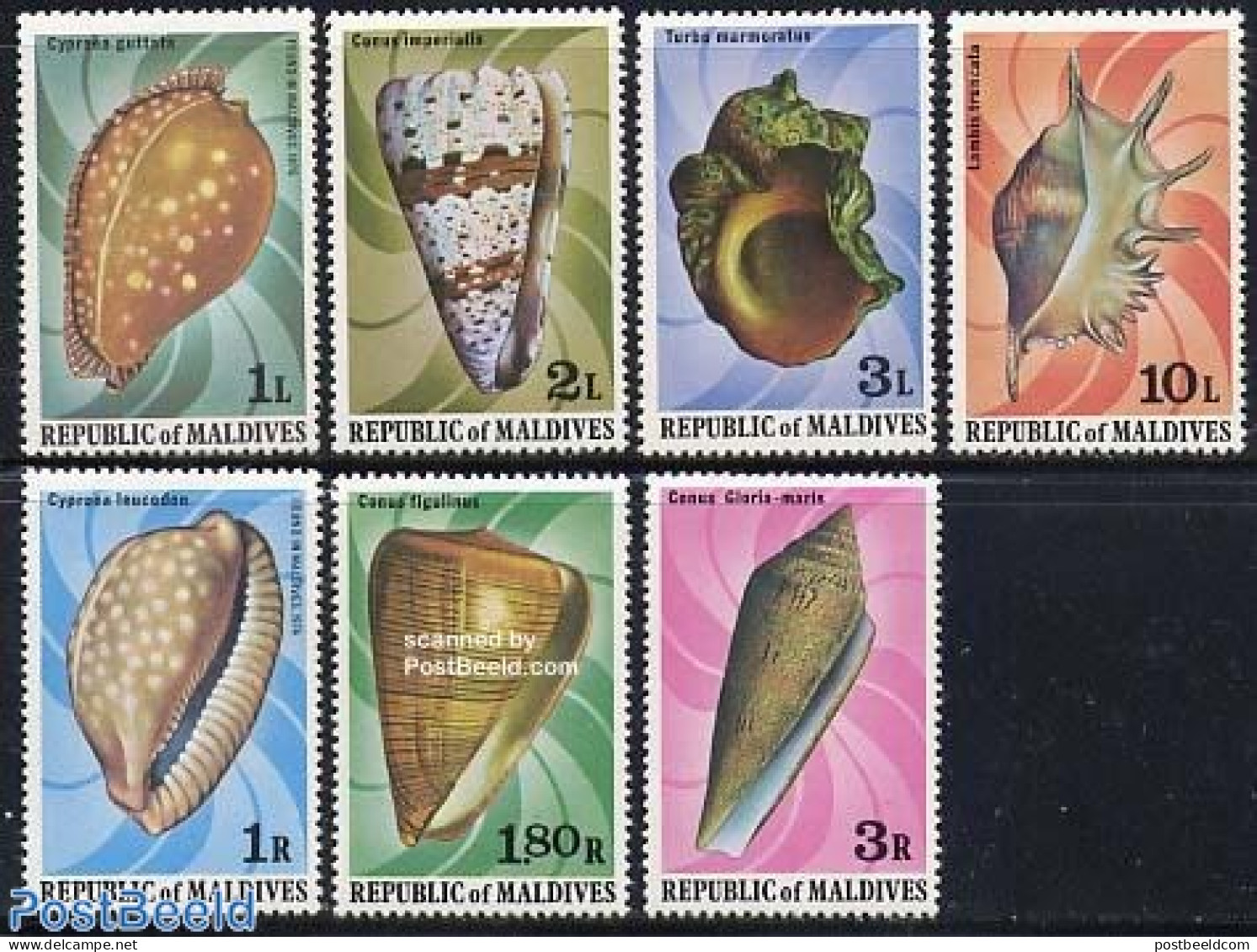 Maldives 1979 Shells 7v, Mint NH, Nature - Shells & Crustaceans - Maritiem Leven