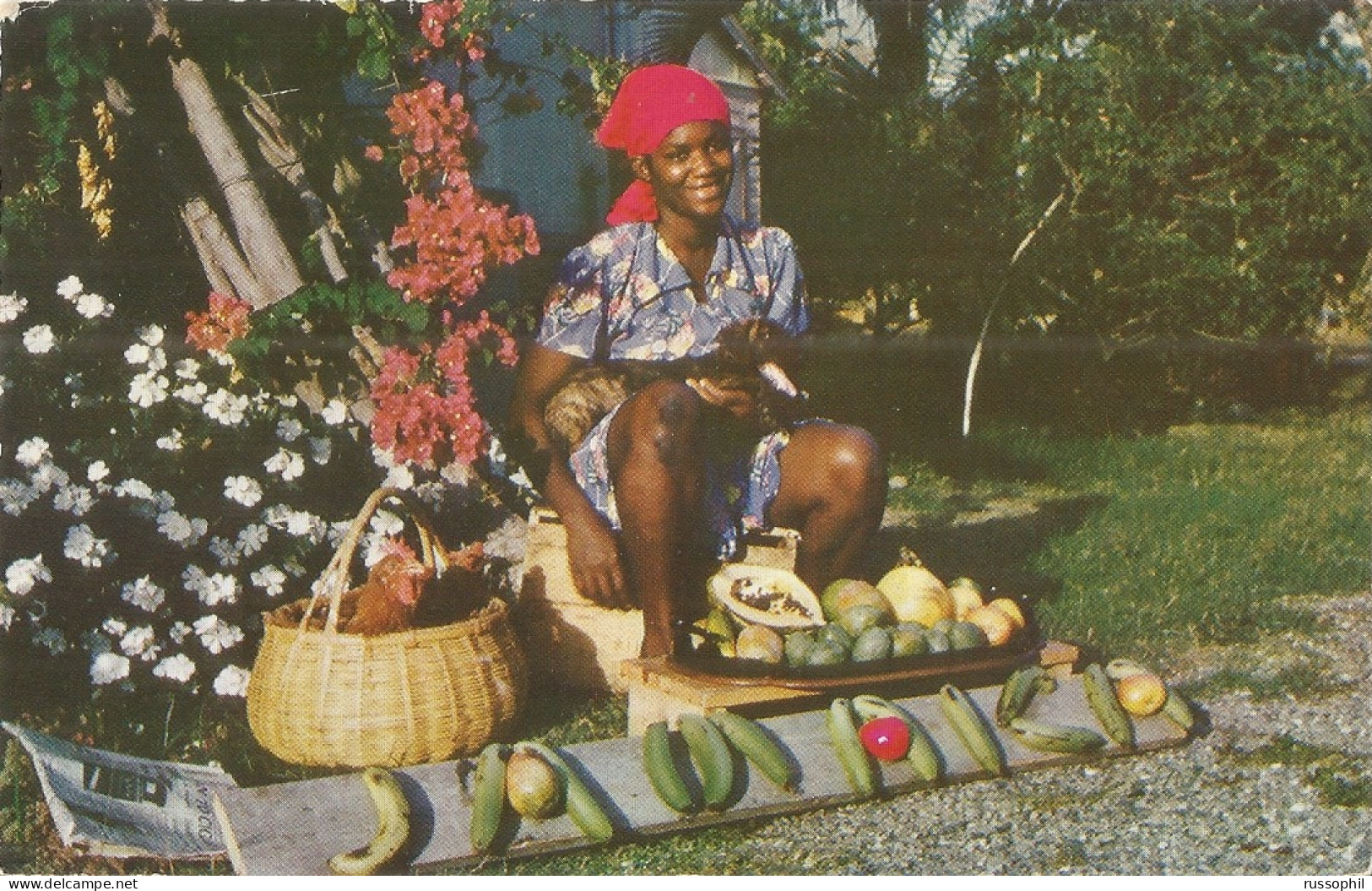 JAMAICA - FRANKED PC (SAY IT WITH FRUIT!) FROM OCHO RIOS TO THE USA  -  1959 - Jamaïque (...-1961)