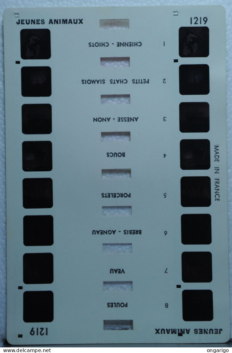 COLORELIEF  :   1219   JEUNES ANIMAUX - Visionneuses Stéréoscopiques