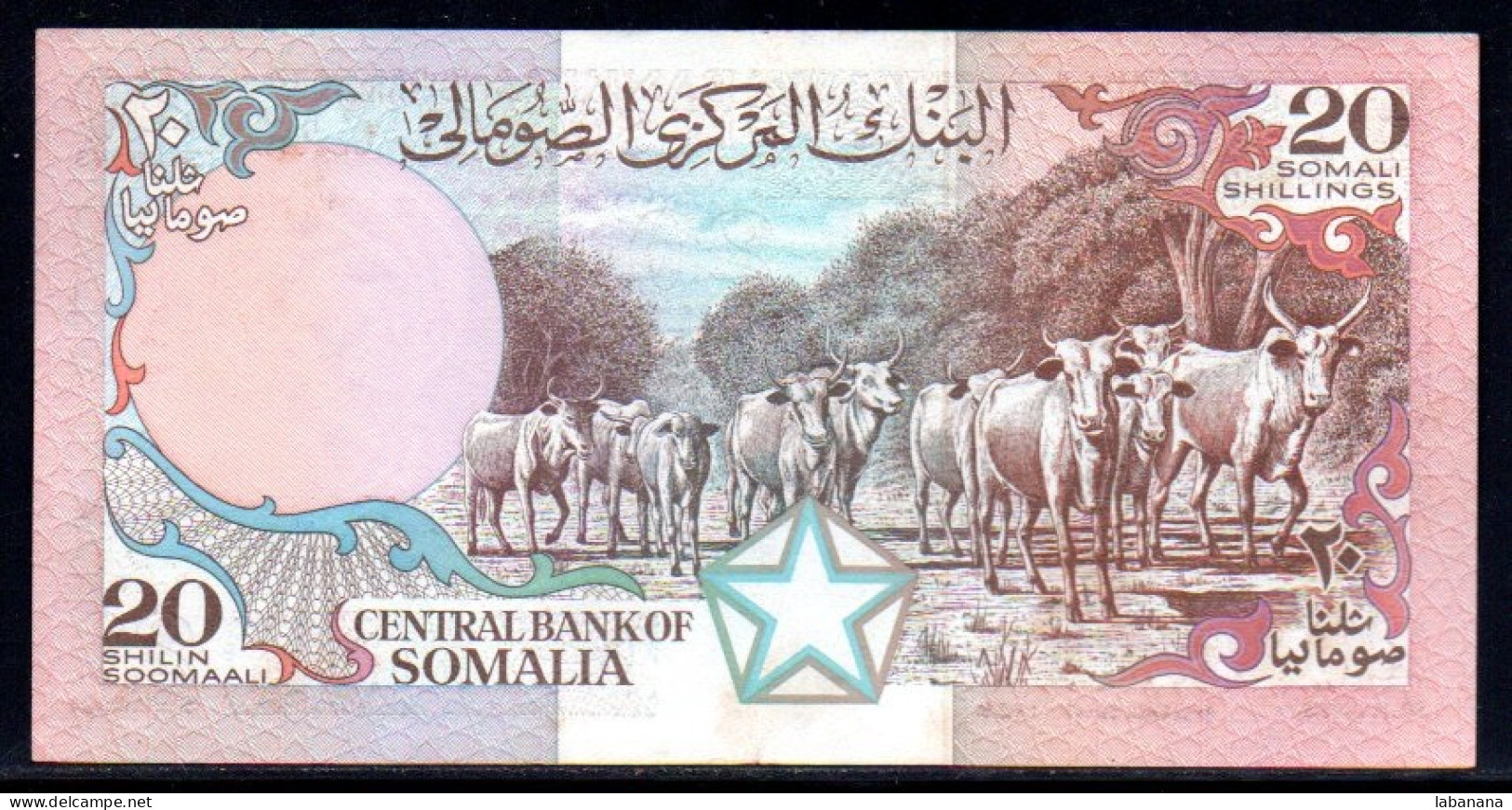 659-Somalie 20 Shilin 1989 D100 - Somalië