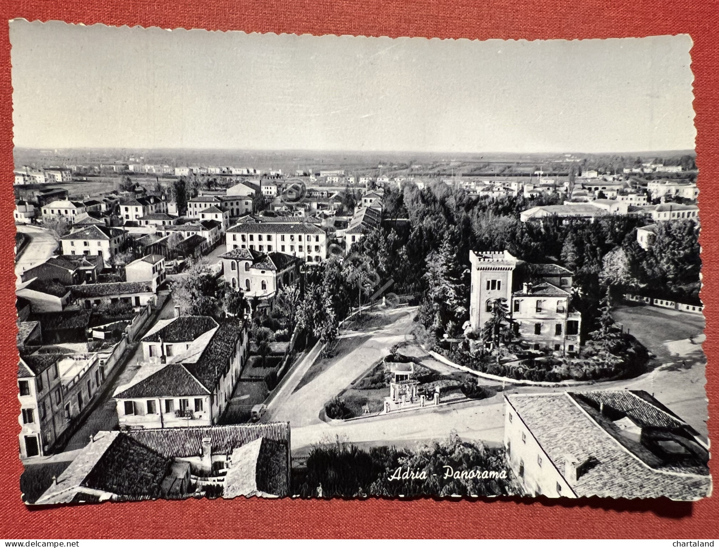 Cartolina - Adria ( Rovigo ) - Panorama - 1956 - Rovigo