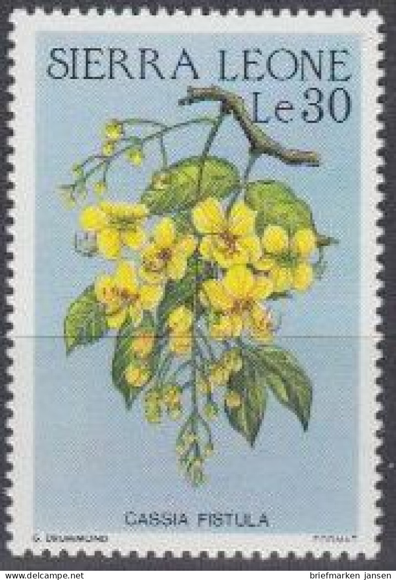 Sierra Leone Mi.Nr. 908 Blüten, Cassia Fistula (30) - Sierra Leone (1961-...)