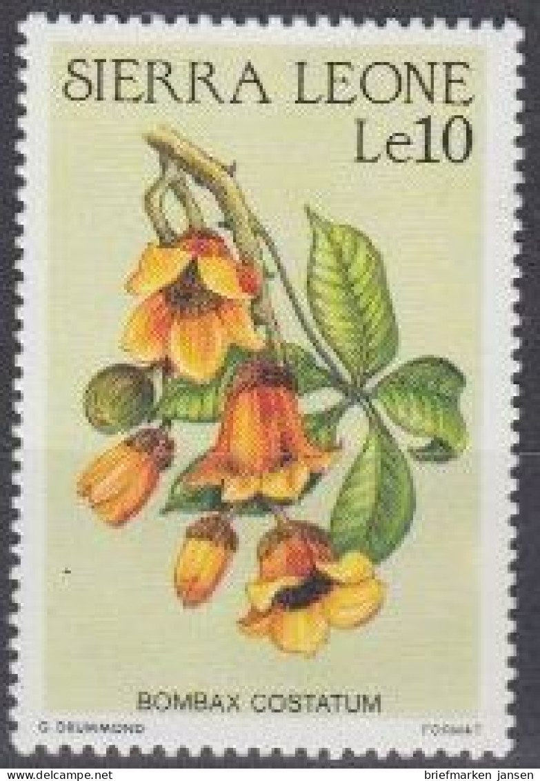 Sierra Leone Mi.Nr. 906 Blüten, Bombax Costatum (10) - Sierra Leone (1961-...)