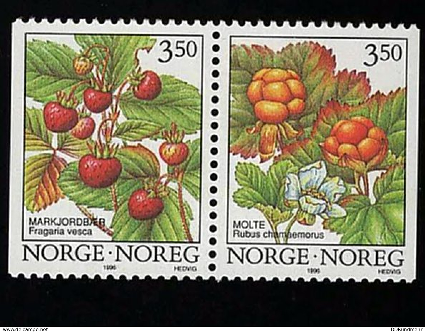 1996 Wilde Beeren  Michel NO W45 Stamp Number NO 1088-1089 Yvert Et Tellier NO 1161a Stanley Gibbons NO 1224-1225 Xx MNH - Neufs