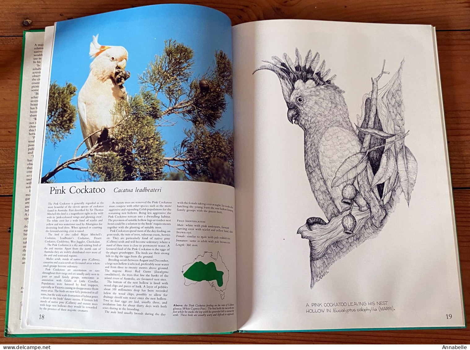 Foliage Birds : Australian Birds And Their Favoured Plants Par George Martin Adams (1981) Livre En Anglais - Animales