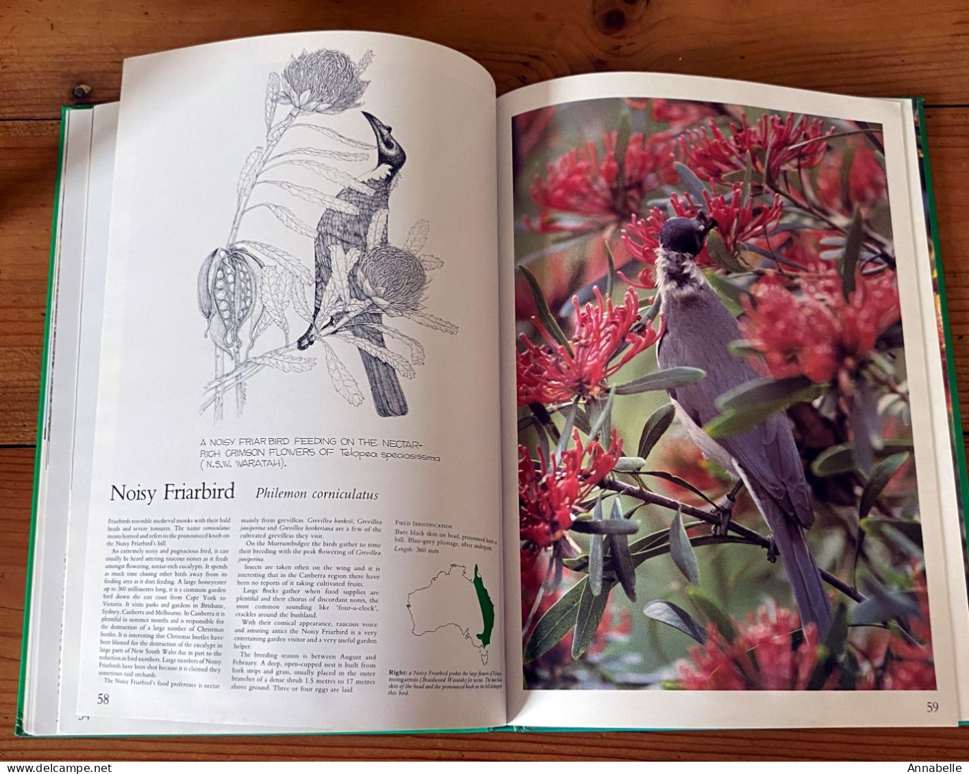 Foliage Birds : Australian Birds And Their Favoured Plants Par George Martin Adams (1981) Livre En Anglais - Tiere