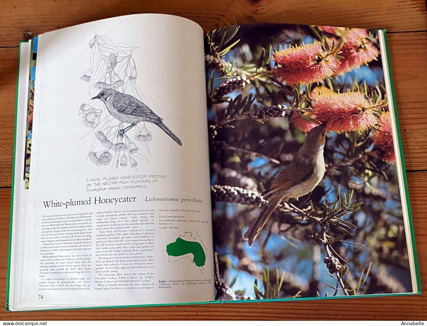 Foliage Birds : Australian Birds And Their Favoured Plants Par George Martin Adams (1981) Livre En Anglais - Animales