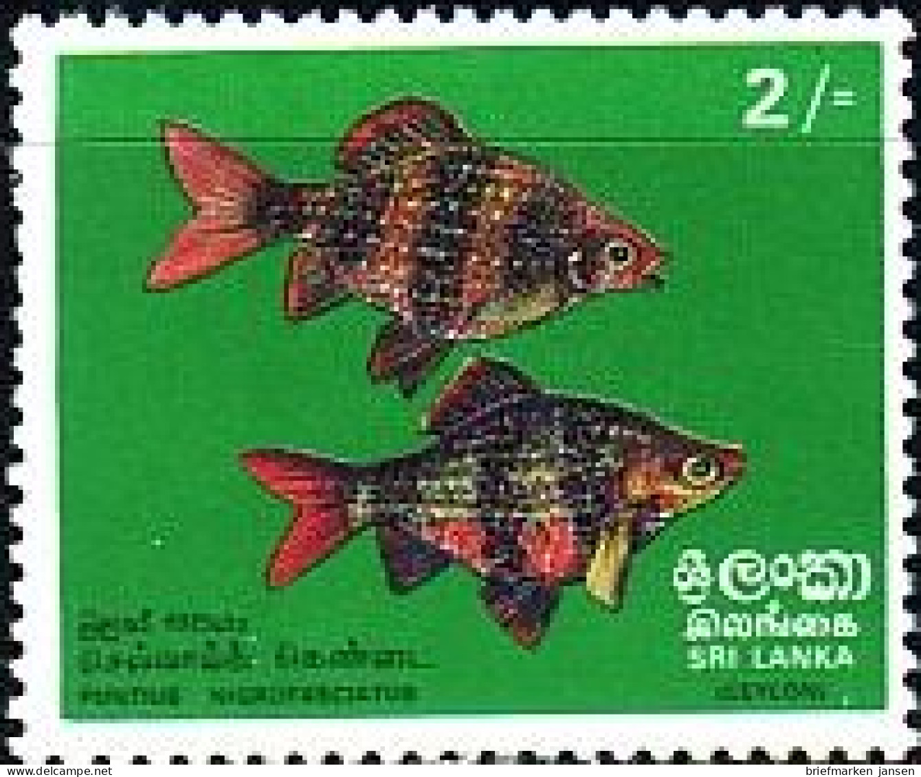 Sri Lanka Mi.Nr. 431 Fische (2(R)) - Sri Lanka (Ceilán) (1948-...)