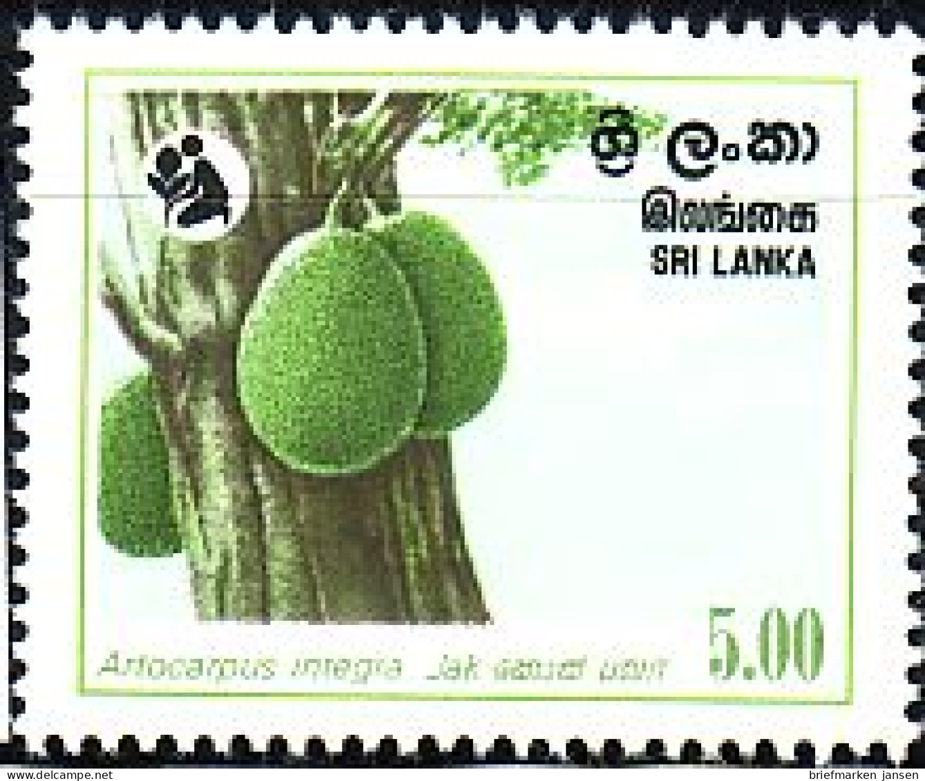 Sri Lanka Mi.Nr. 569 Erhaltung Der Wälder, Brotfruchtbaum (4(R)) - Sri Lanka (Ceylon) (1948-...)