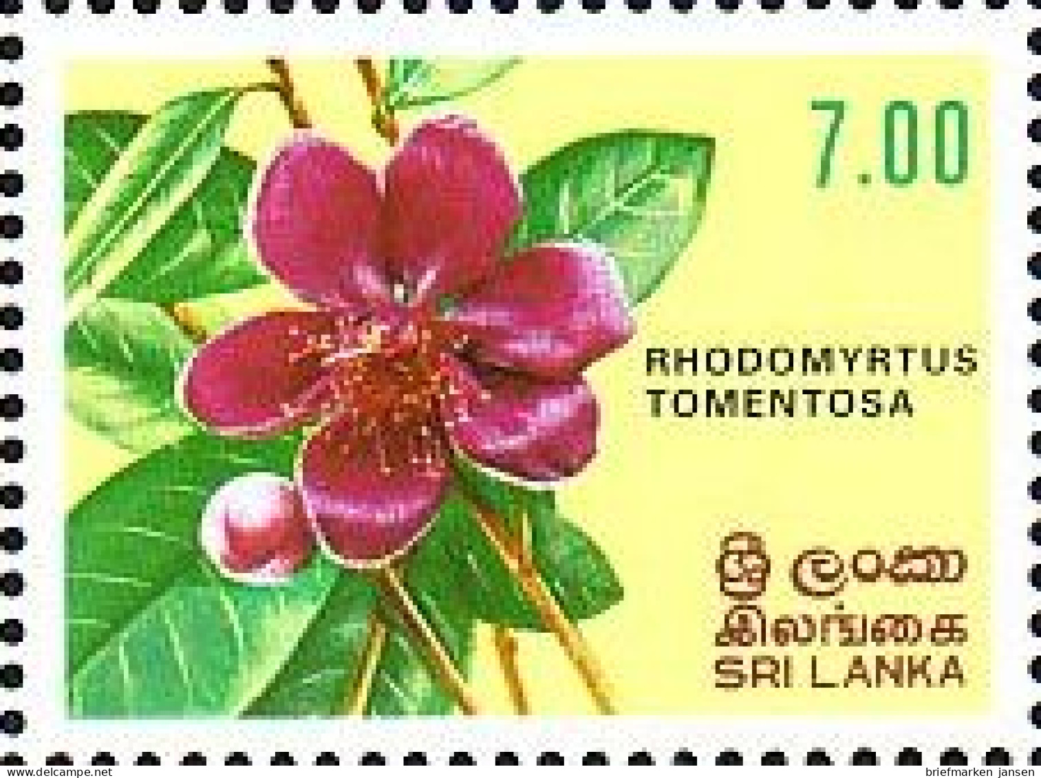 Sri Lanka Mi.Nr. 578 Blumen (7(R)) - Sri Lanka (Ceylon) (1948-...)