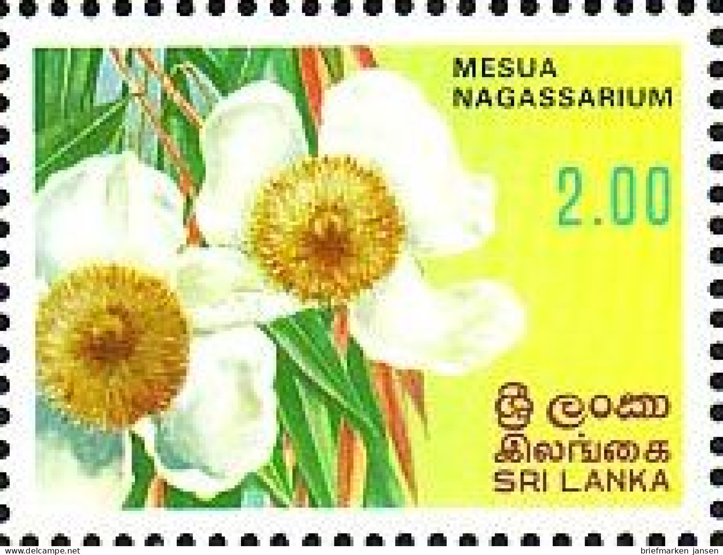 Sri Lanka Mi.Nr. 577 Blumen (2(R)) - Sri Lanka (Ceylan) (1948-...)