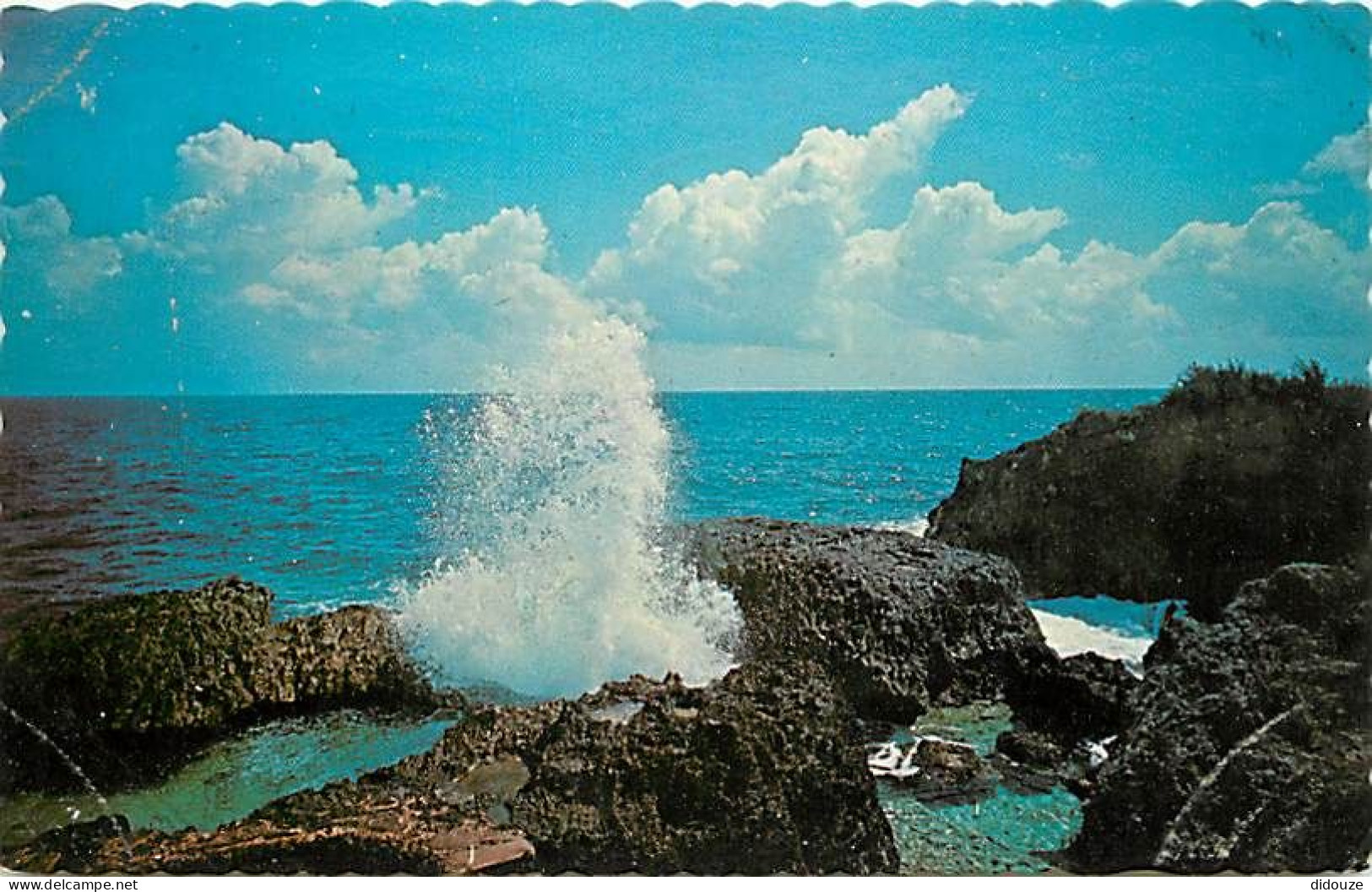 Antilles - Jamaïque - Jamaica - The Mighty Caribbean Sea Pounding Jamaica's Coastline - CPSM Format CPA - Voir Scans Rec - Jamaïque