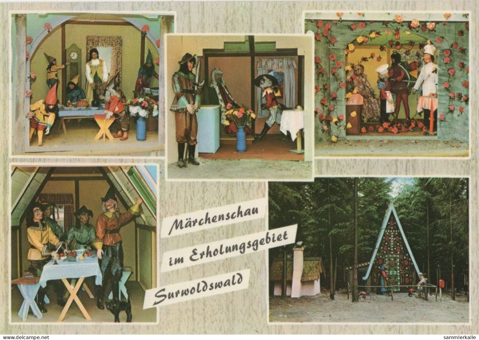 127914 - Surwold - Märchenschau Surwoldswald - Meppen