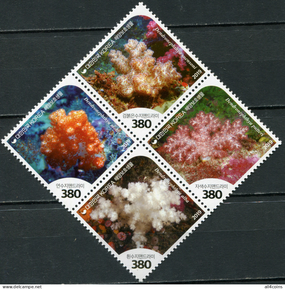 South Korea 2019. Corals (MNH OG) Block Of 4 Stamps - Korea (Zuid)