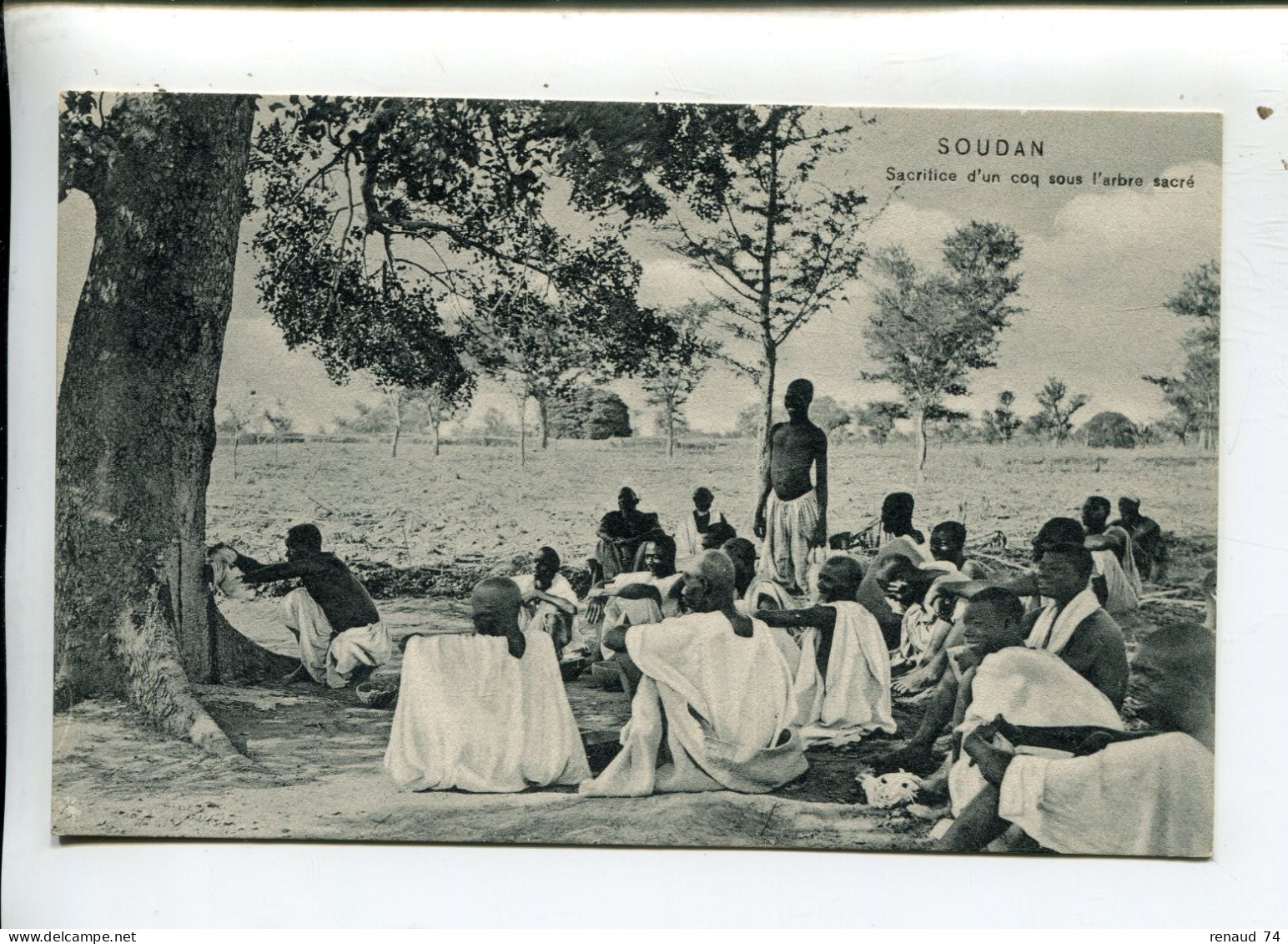 Soudan Afrique Occidentale Française Sacrifice D'un Coq Sous L'arbre Sacré - Soudan