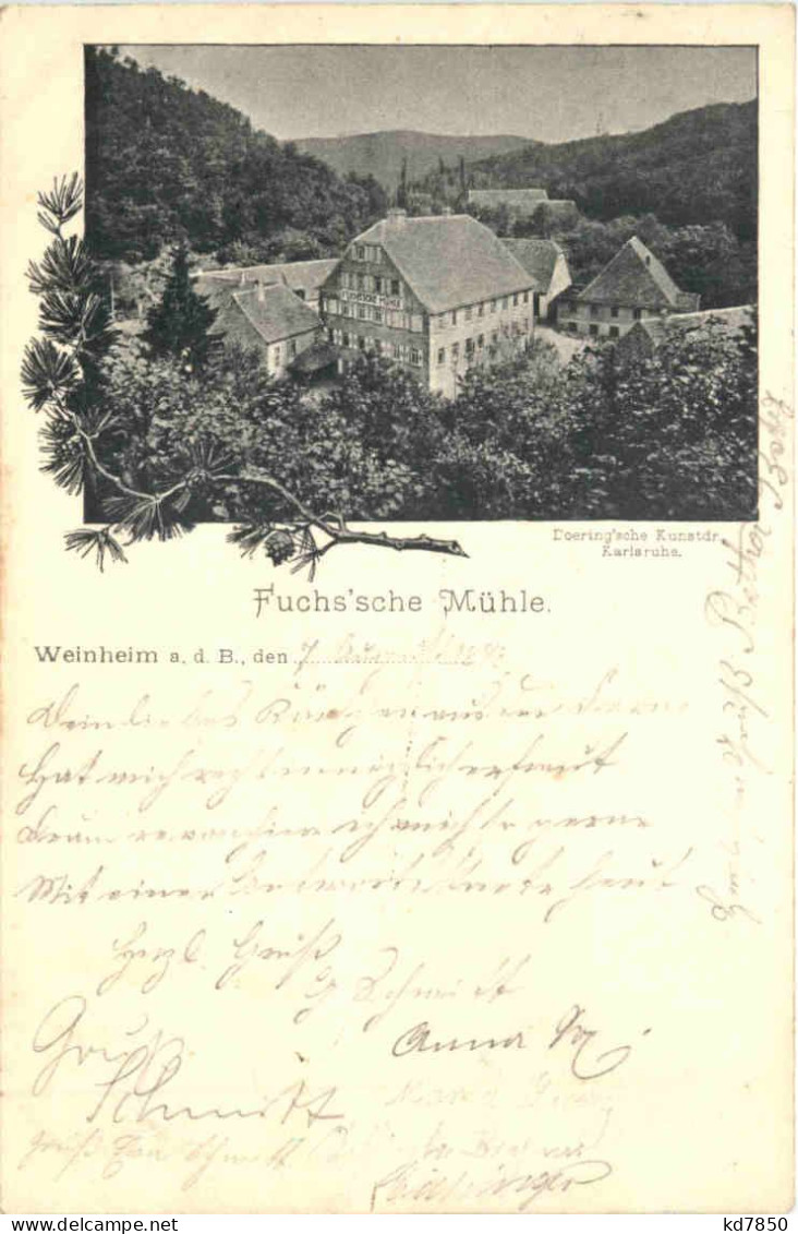 Weinheim - Fuchssche Mühle - Weinheim
