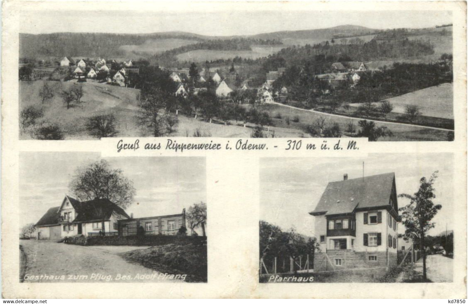 Gruss Aus Rippenweier Im Odenwald - Weinheim - Weinheim