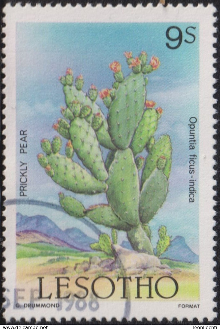 1986 Lesotho ° Mi:LS 560, Sn:LS 516, Yt:LS 667, Sg:LS 678, Prickly Pear, Flora And Fauna Of Lesotho, Kaktus - Lesotho (1966-...)