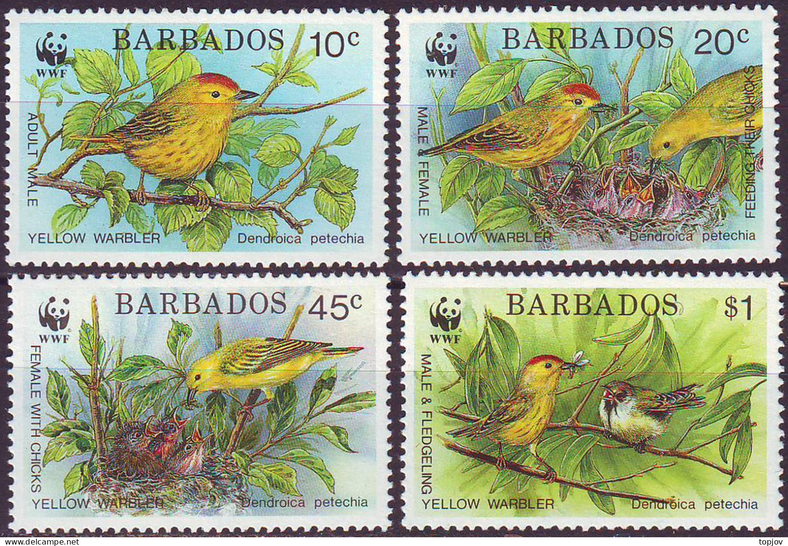 BARBADOS - WWF  BIRDS - **MNH - 1991 - Ungebraucht