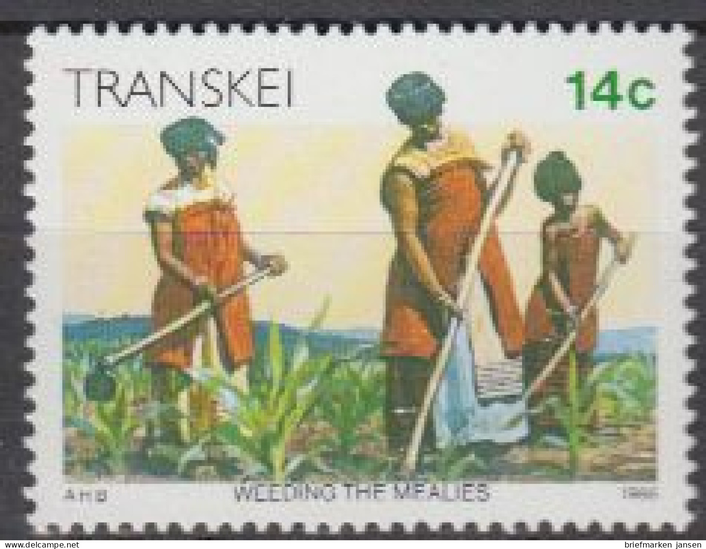 Südafrika - Transkei Mi.Nr. 184 Freim. Kultur Der Xhosa, Bauern A.Maisfeld (14) - Sonstige & Ohne Zuordnung