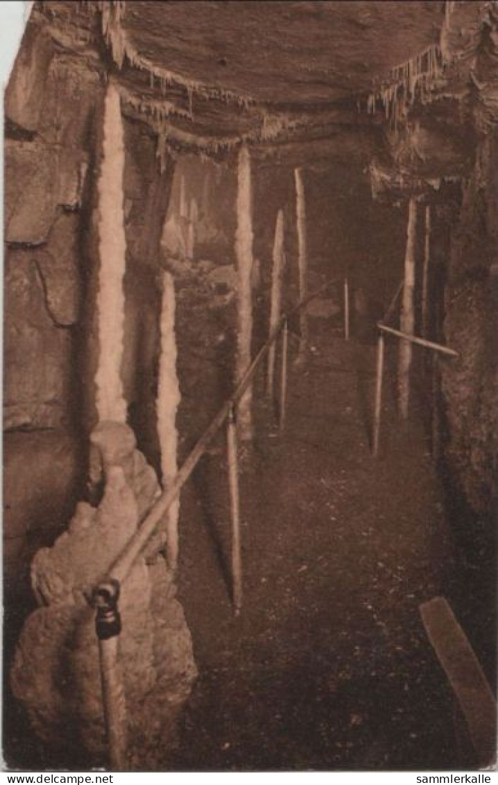 70104 - Wiesenttal, Streitberg - Bing-Höhle - 1960 - Forchheim