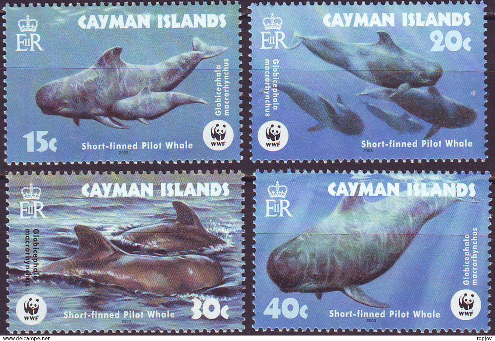 CONGO - WWF  WHALE - **MNH - 2003 - Unused Stamps