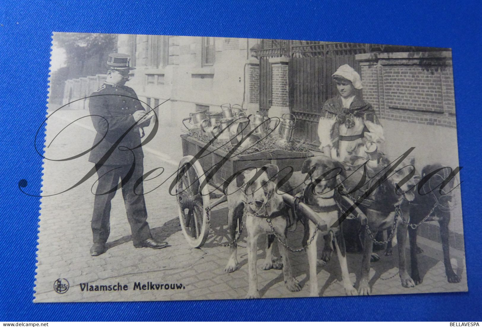 Laitière Flamande  Melkkar Ambulante Verkoop Petit Metiers - Shopkeepers