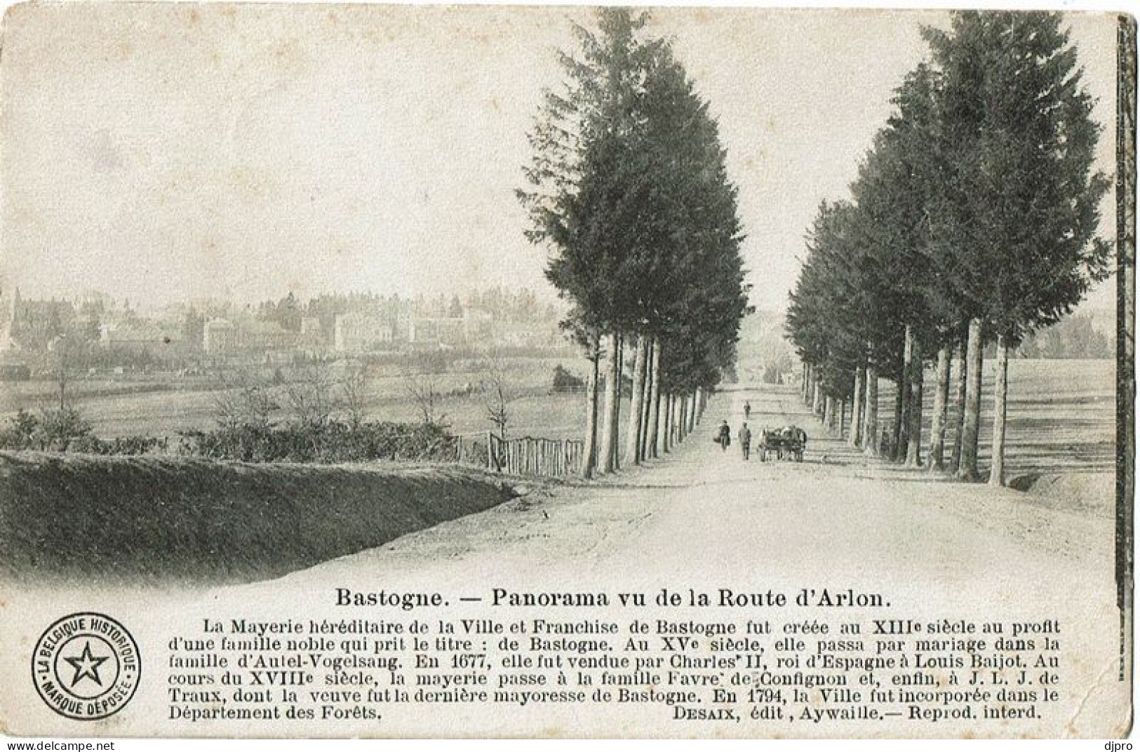 Bastogne   Panorama Vu La Route D'arlon - Bastogne