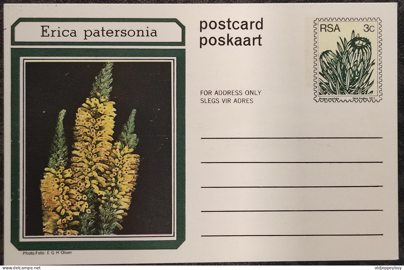 3c SOUTH AFRICA Postal STATIONERY CARD Illus ERICA PATERSONIA FLOWER Cover Stamps Flowers Rsa - Brieven En Documenten